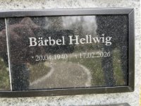 ein Bild aus dem Album