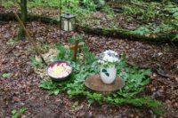 ein Bild aus dem Album