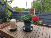 ein Bild aus dem Album