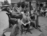 ein Bild aus dem Album