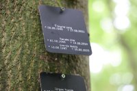 ein Bild aus dem Album